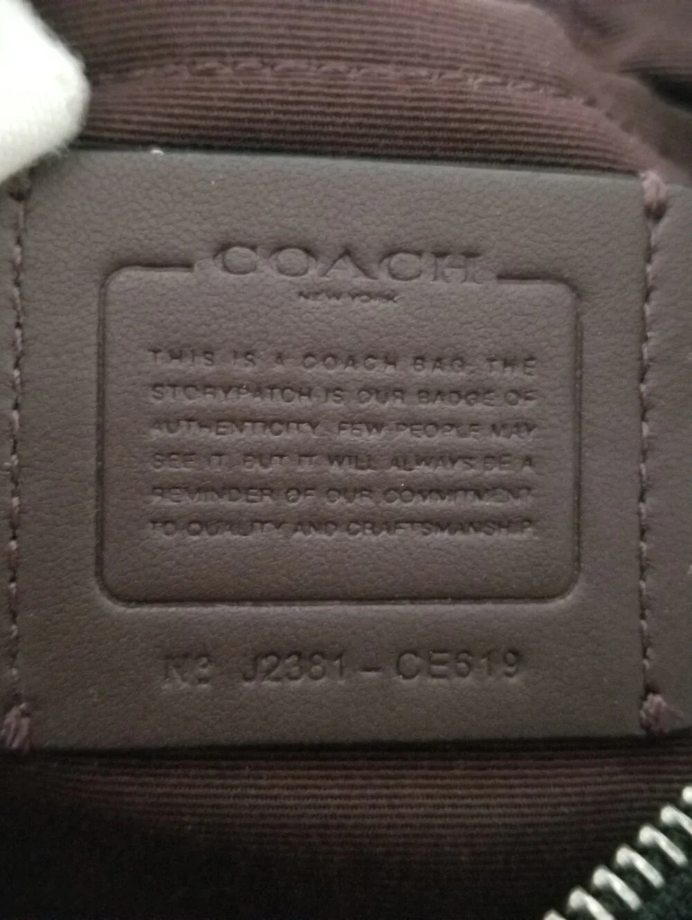 Coach Mini Payton Shoulder Bag Pebbled Leather